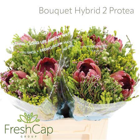 <h4>Bouquet Hybrid 2 Protea</h4>