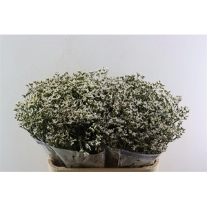 Lim Sin White Activa (parfumed)