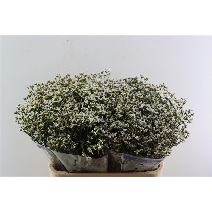 <h4>Lim Sin White Activa (parfumed)</h4>