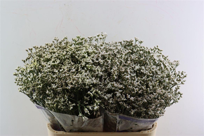 <h4>Lim Sin White Activa (parfumed)</h4>