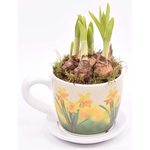 Keramiek K&S Narcis 9/12cm