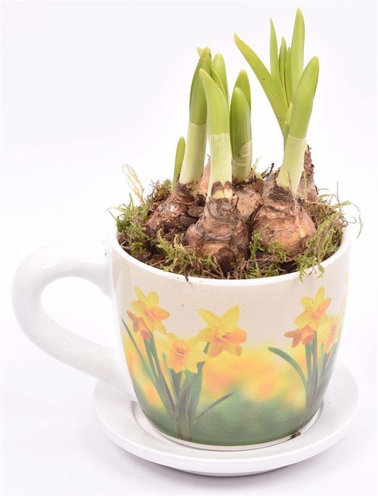 <h4>Keramiek K&S Narcis 9/12cm</h4>