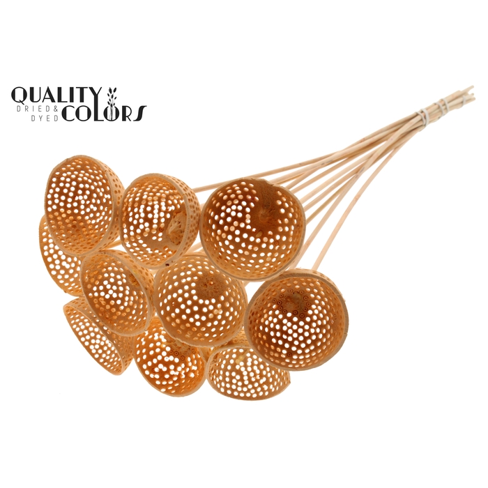<h4>Bell Cup Jali on stem Intense Salmon</h4>