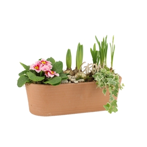 11332: Outdoor spring arrangement