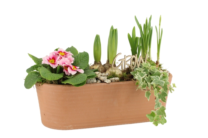 <h4>11332: Outdoor spring arrangement</h4>