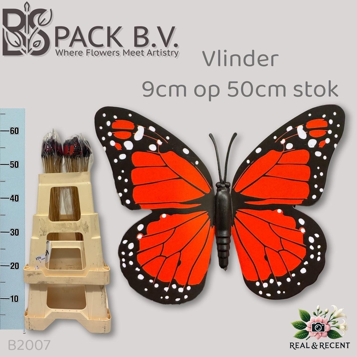 <h4>HUIS EN TUINDECO H%</h4>