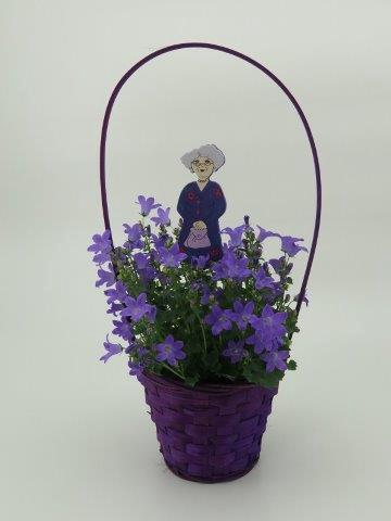 <h4>CAMPANU. PORTENSCHL p11 mandje oma</h4>