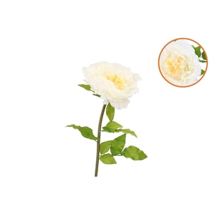 Silk Amazing Peony Beauty Cream Xl 38x115cm
