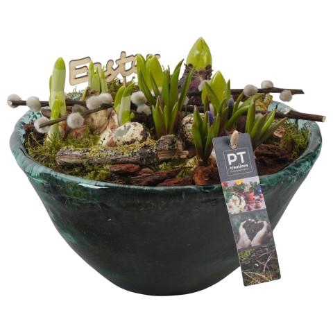 <h4>PTBMP5762 Arrangementen Tuinplanten</h4>