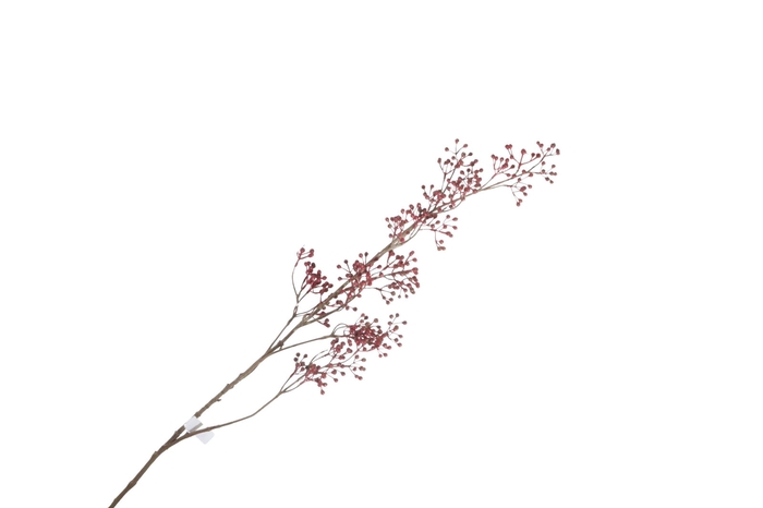 <h4>Corallo Berry Spray Burgundy LV330083BUR</h4>