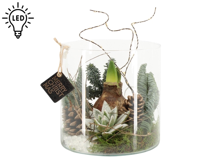 <h4>61710: X-mas arrangement met LED</h4>