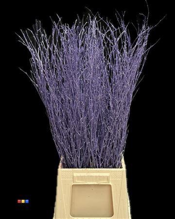 <h4>Betula / Berkentak Metallic Purple</h4>