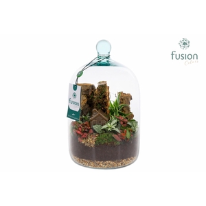 Green Bottle Novella Medium met arrangement