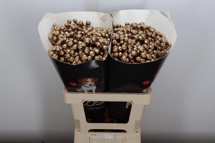 <h4>Snijgroen Snijbloemen Klb H</h4>