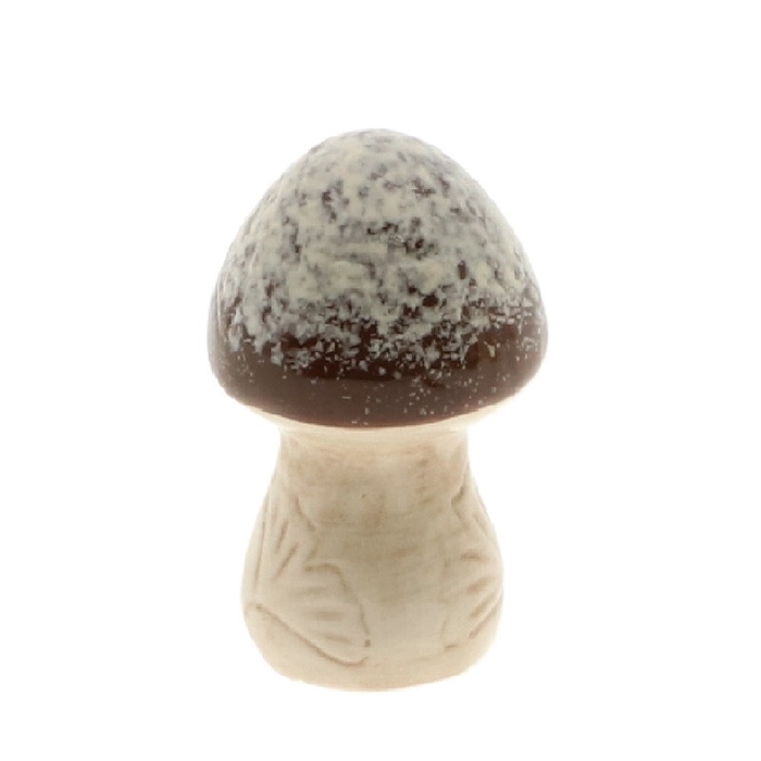 <h4>Herfst Deco Dolo paddenstoel d07.5*13cm</h4>