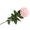 Silk Peony Tak Light Pink 71cm