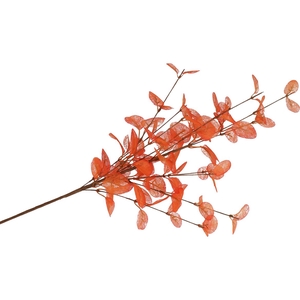 Silk Euca Cinerea Orange 72cm Nm