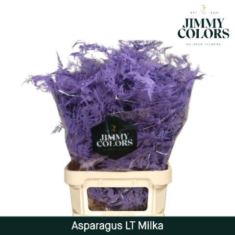 <h4>Aspa lang getopt Milka</h4>