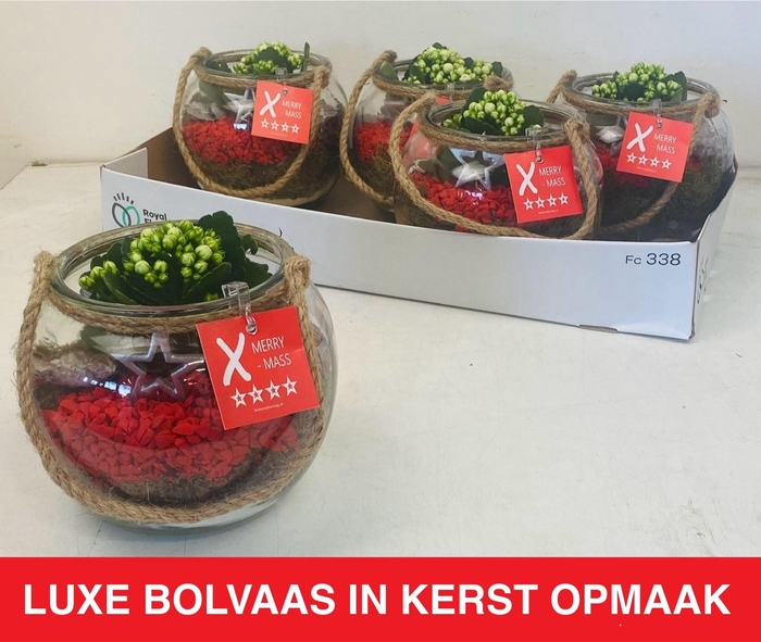 <h4>ARR KAMERPL</h4>