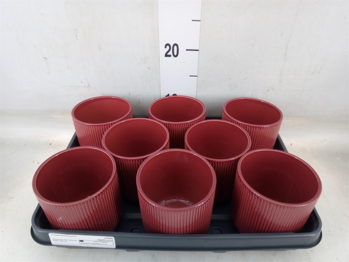 <h4>Pot   ...Keramische H%</h4>