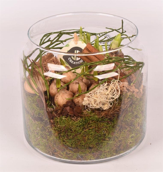 <h4>Glas cilinder 18cm</h4>