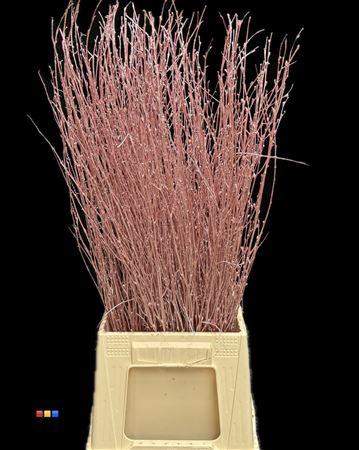 Betula / Berkentak Metallic Pink