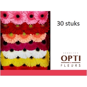 GE GR OP RIJ GEMENGD-Doosx30