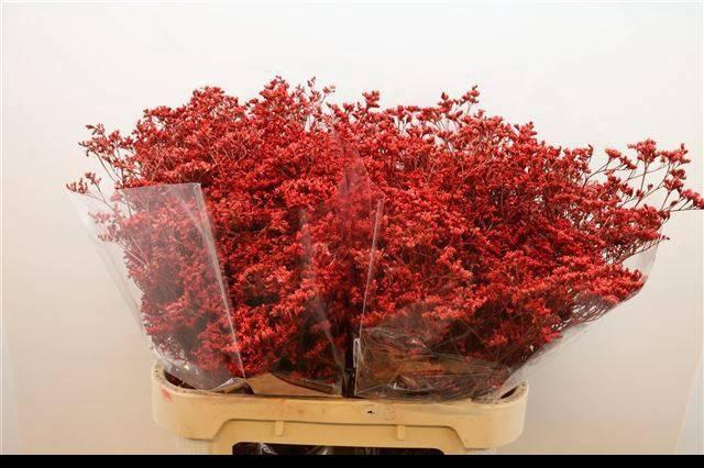 <h4>LIM OV KLB H%</h4>