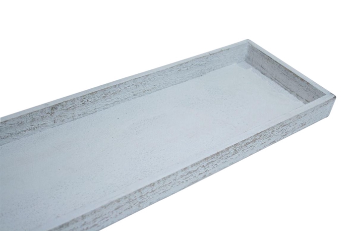 Tray Firmiana L60W20H4