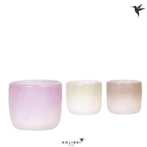 Kolibri Home Gradience pot mix