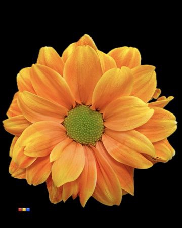 Chr T Kennedy Sunset