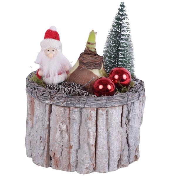 <h4>Christmas Arr. Amaryllis Wooden Pot Round Bark Salim Ø15cm 1PP</h4>