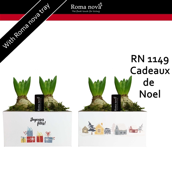 <h4>Arrangementen Hyacinthus 6%</h4>