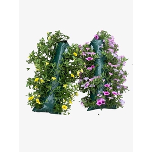 HANGING BASKETS