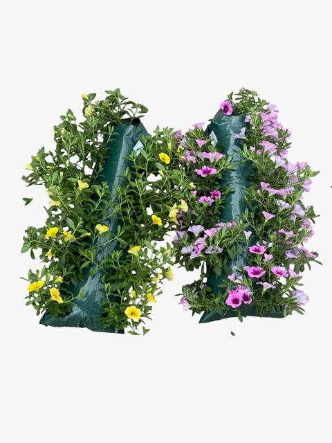 <h4>HANGING BASKETS</h4>