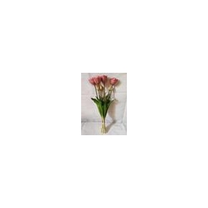 AF Tulip Db Bnd x7 L44cm Pink