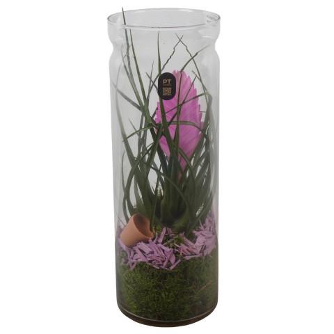 <h4>PTIG2720 Arrangement Indoor in glazen vaas</h4>