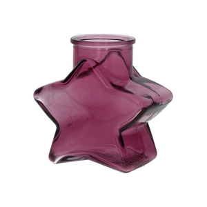DF02-667173100 - Bottle Sterre 11x6.2x10.7 aubergine transparent