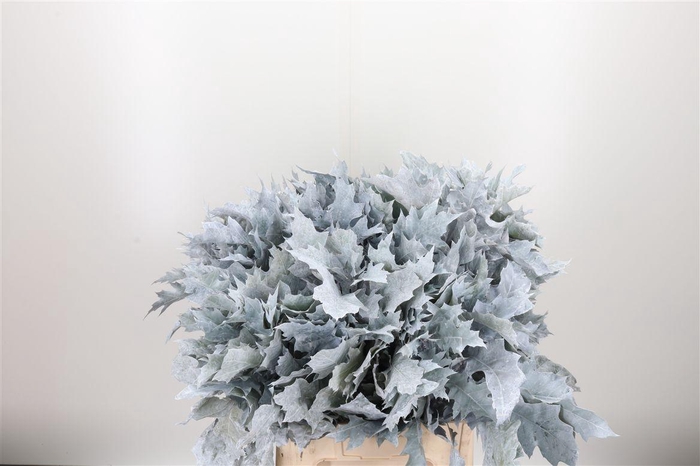 <h4>Eik Grof Frost Wit</h4>