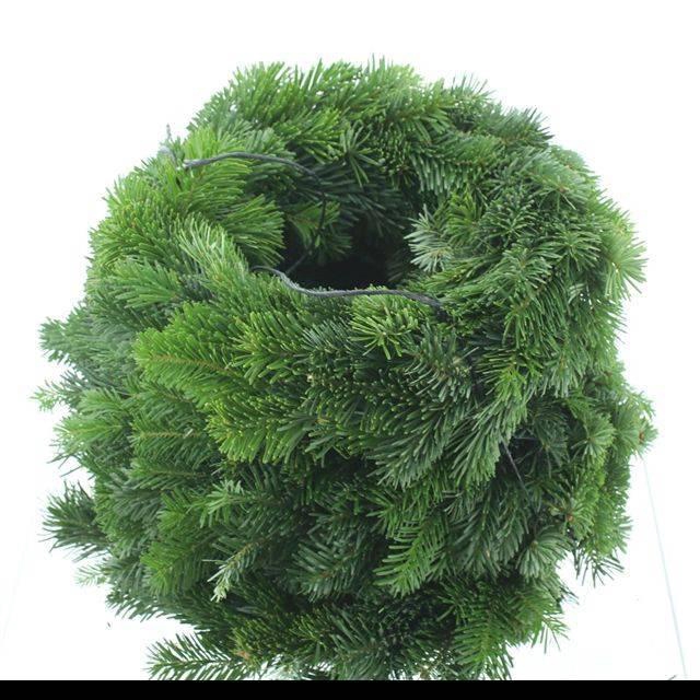 <h4>NORDMAN KRANS</h4>