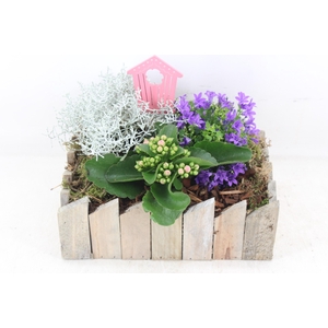 arr4 Outdoor PL - Hout rechth. 285/4