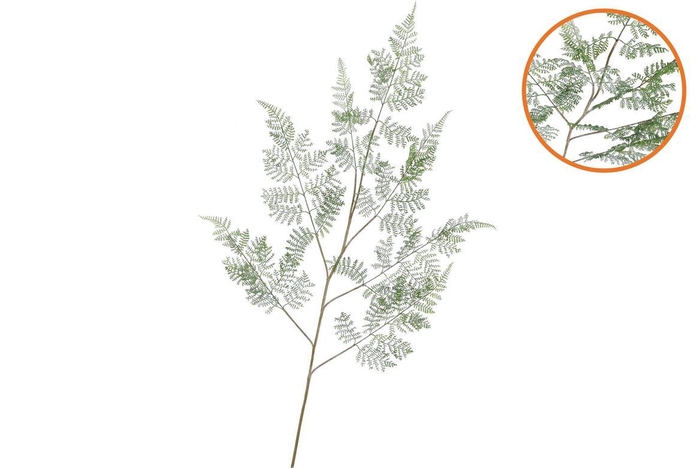 <h4>Silk Fern Forest Green Snowy 137cm</h4>