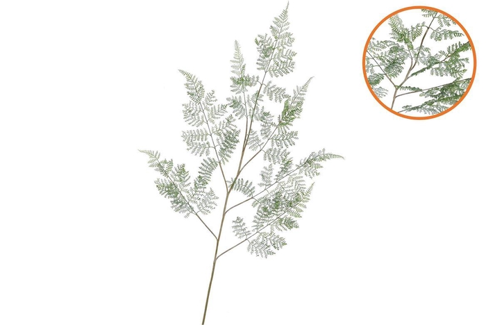 <h4>Silk Fern Forest Green Snowy 137cm Nm</h4>