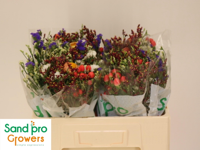 <h4>GEM ZOMERBOEKET</h4>