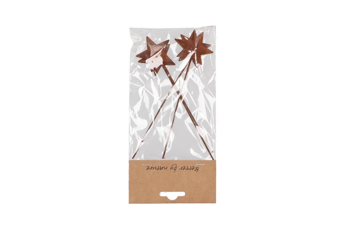 <h4>Pick Rusty Star Metal 5x17cm P/4</h4>