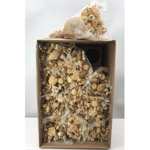 Dr Bqt Dried Fantasy Ecrù Naturale