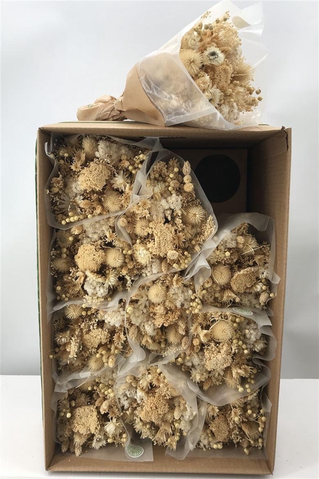 <h4>Dr Bqt Dried Fantasy Ecrù Naturale</h4>