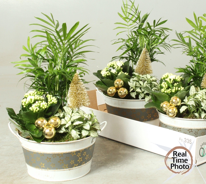 <h4>ARR KAMERPL</h4>