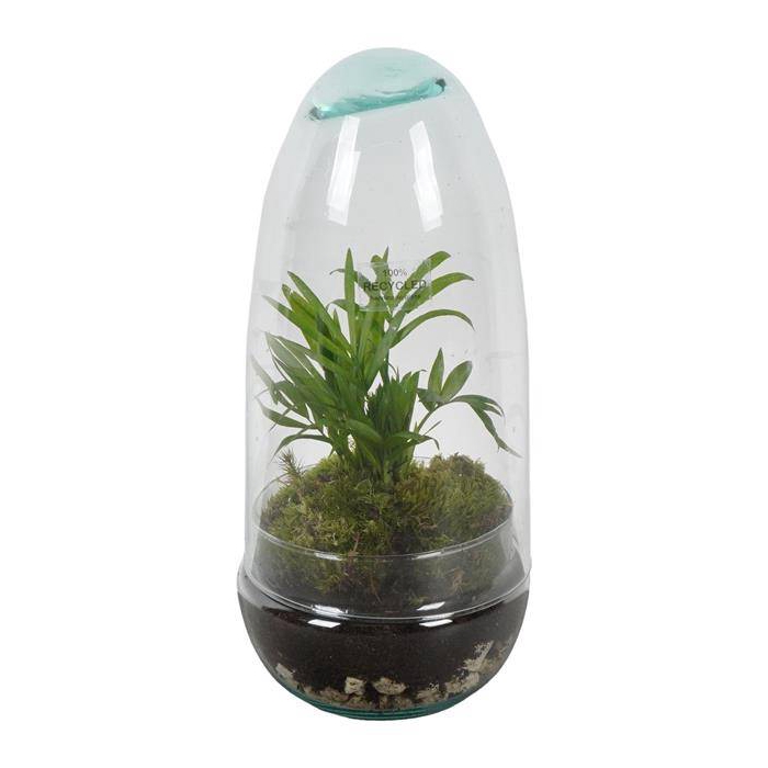 <h4>arr. Kamerplanten groen</h4>