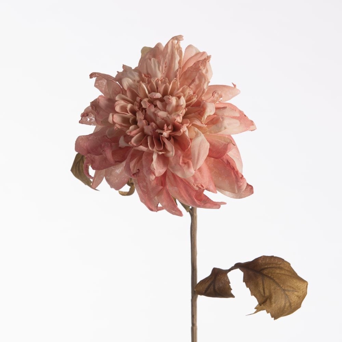 <h4>AF Dahlia Dried L74cm Pink</h4>